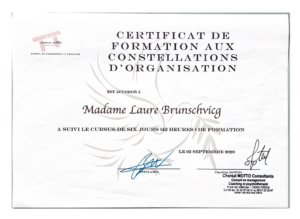 Certificat de reconnaissance pour la méthode Constellation d'organisation Laure Brunschvicg